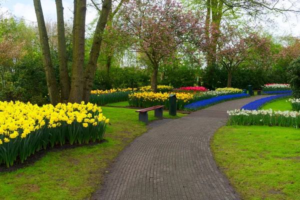 Camino de piedra en el jardín — Foto de Stock