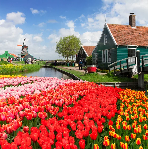 Régi házak Zaanse Schans, Hollandia — Stock Fotó