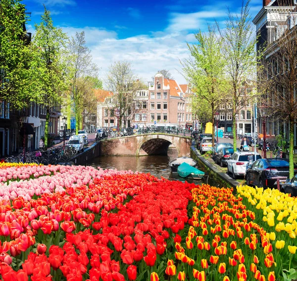 Häuser in Amstardam, Niederlande — Stockfoto