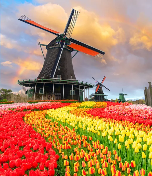 Holland szélmalmok — Stock Fotó