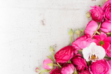 Çiçeklerin düz konumu