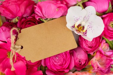 Çiçeklerin düz konumu