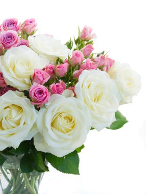 Pembe ve beyaz çiçek açan güller