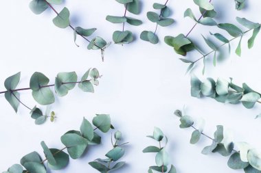 Yeşil çiçek kompozisyon