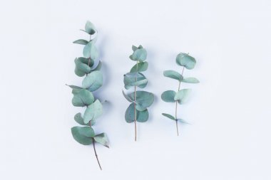 Yeşil çiçek kompozisyon