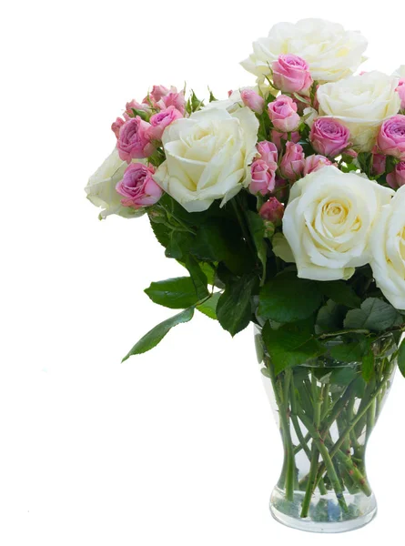 Pembe ve beyaz çiçek açan güller — Stok fotoğraf