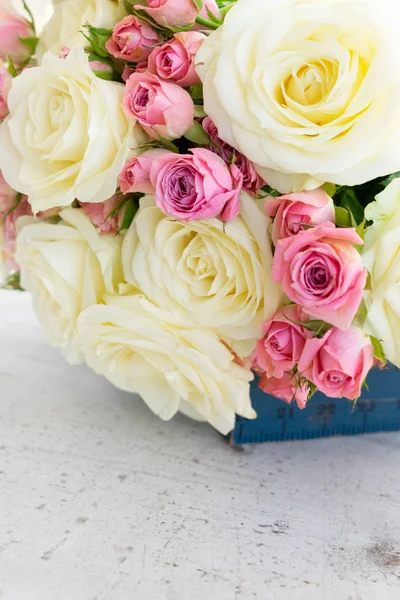 Pink and white blooming roses