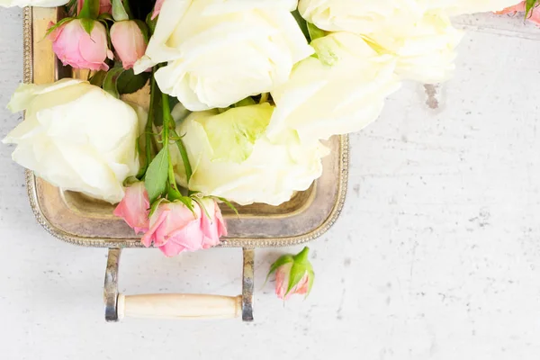 Rosa und weiß blühende Rosen — Stockfoto