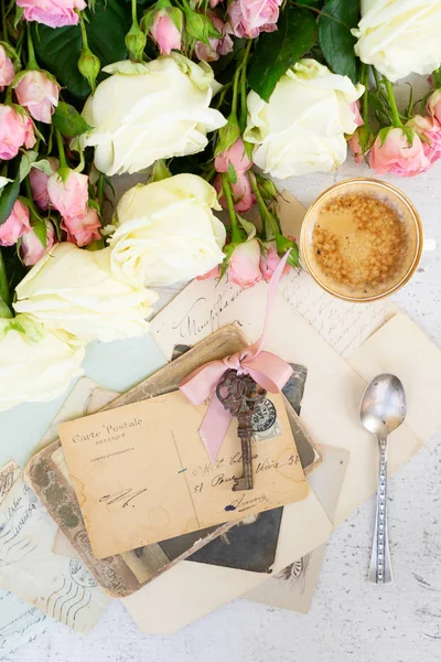 Rosa und weiß blühende Rosen — Stockfoto