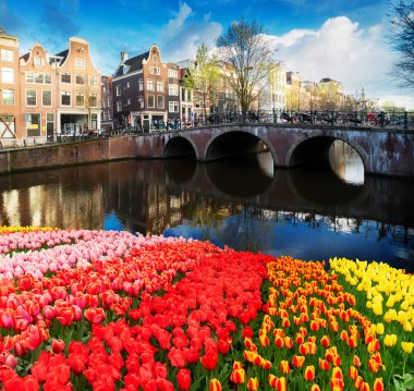 Hollanda, Amstardam 'ın Evleri