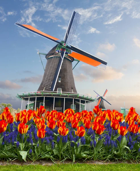 Nederlandse windmolens — Stockfoto