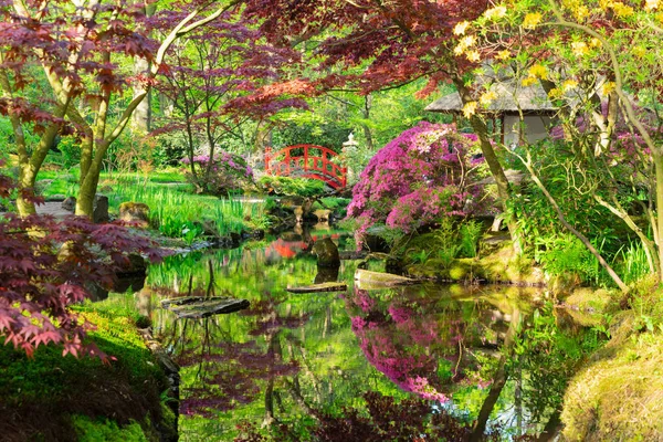 Japán kert Hágában — Stock Fotó