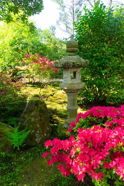 헤이그에 있는 일본식 정원 — 스톡 사진