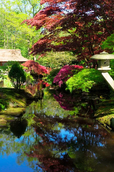 헤이그에 있는 일본식 정원 — 스톡 사진