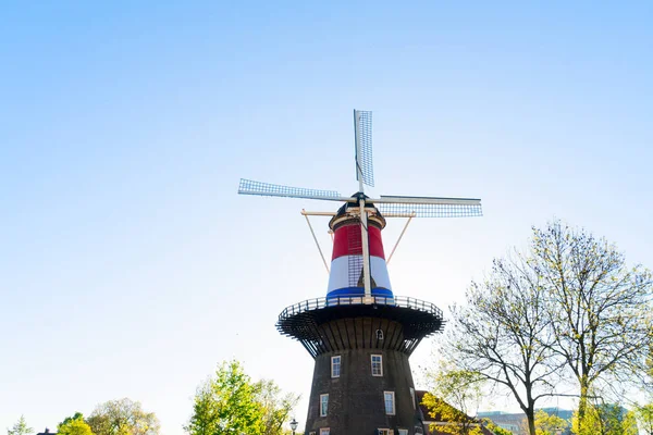 Leiden Yel Değirmeni — Stok fotoğraf