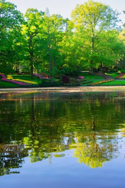 Parktaki bahar göleti