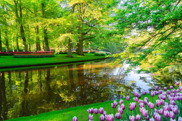 Spring pond in park — Stock Photo, Image