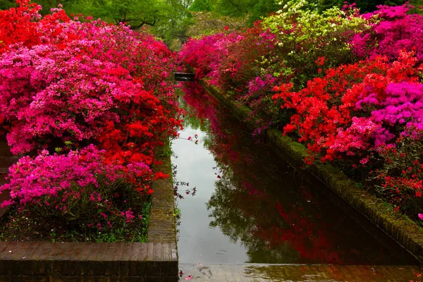 Slavnostní jarní zahrada — Stock fotografie