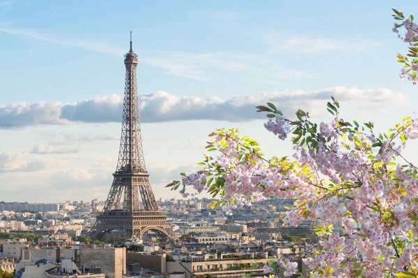 Eiffel tour a Paris cityscape — Stock fotografie