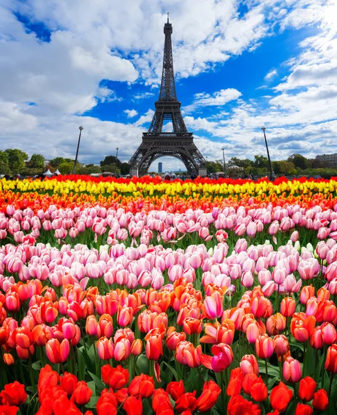 Eiffel túra és Trocadero, Párizs — Stock Fotó