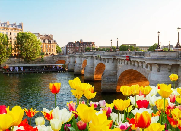 Pont neuf, paris, frankreich — Stockfoto