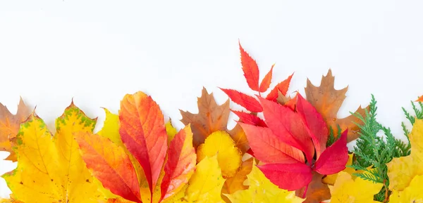 Natürlicher Herbst hinterlässt Spuren — Stockfoto