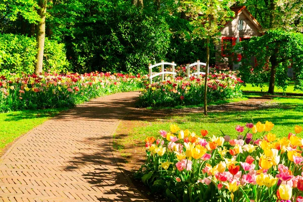 Steinweg im Garten — Stockfoto