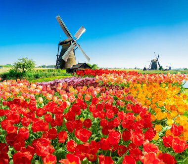 Hollanda yel değirmeni nehir suları üzerinde