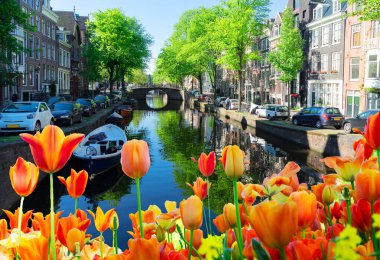 Hollanda, Amstardam 'ın Evleri