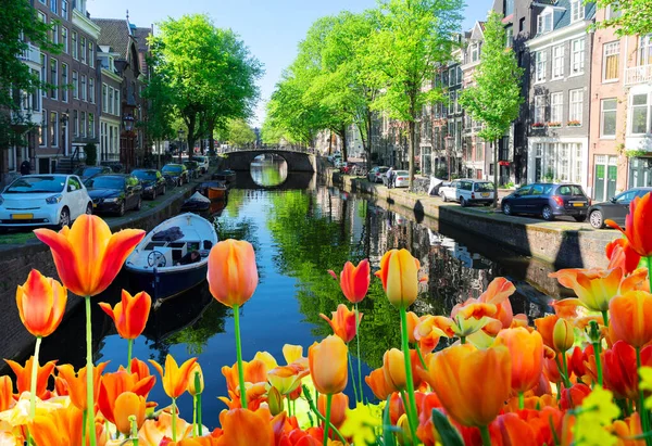 Hollanda, Amstardam 'ın Evleri