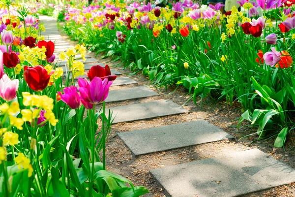 Jardín de primavera formal — Foto de Stock