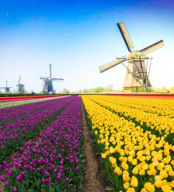Hollanda yel değirmeni nehir suları üzerinde