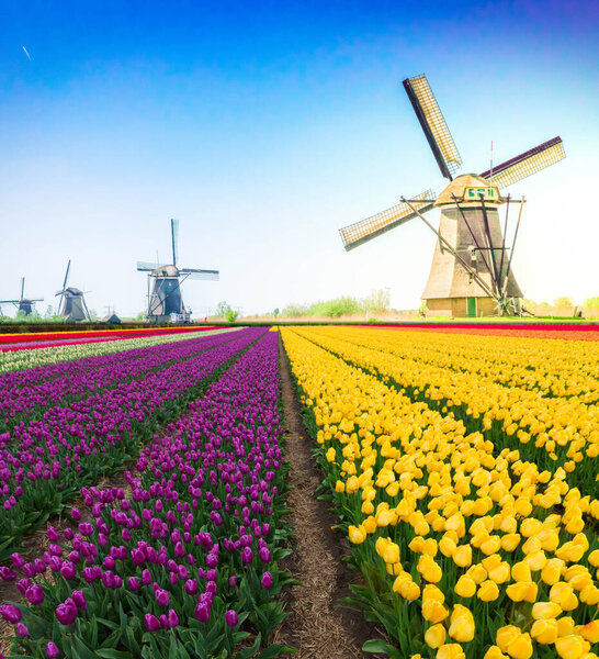 ветряная мельница над речными водами