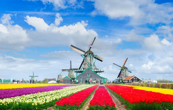 Nederlandse windmolens — Stockfoto