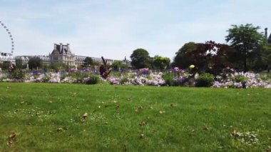 Tuileries Bahçesi, Paris