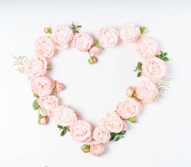 Çiçeklerin düz konumu