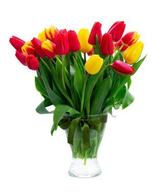 Taze lale çiçekleri