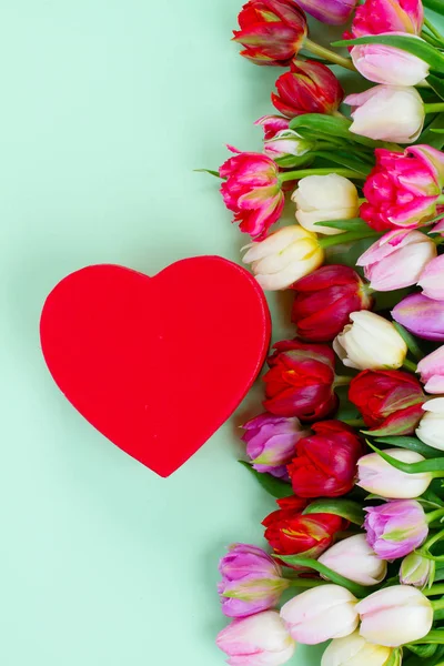 Свежие тюльпаны с сердцем — стоковое фото