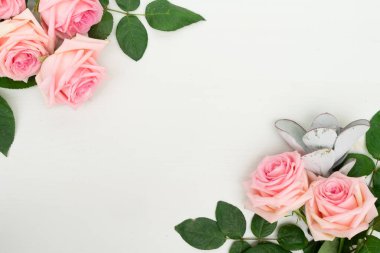 taze gül çiçekleri