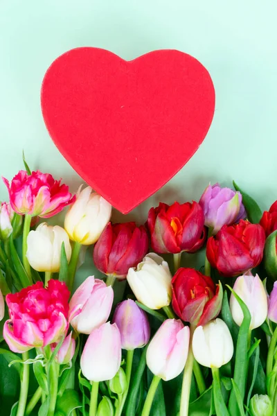Fresh tulips flowers with heart — Stock Photo, Image