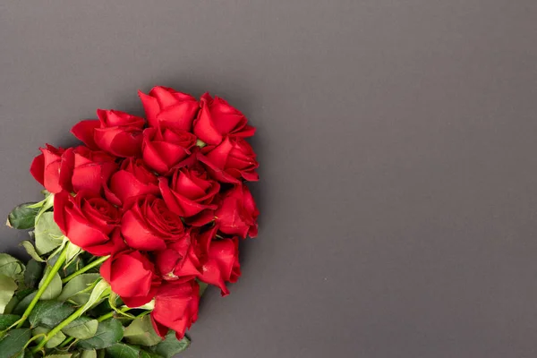 Rose rosse su sfondo nero — Foto Stock