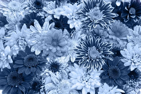 Flores naturais fundo — Fotografia de Stock