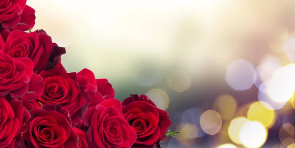Quadro de rosas vermelhas escuras — Fotografia de Stock