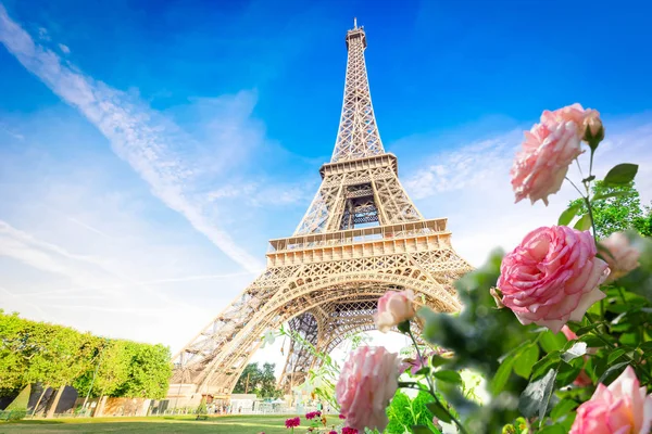 Eiffel tour e paesaggio urbano di Parigi — Foto Stock