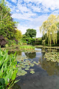 Giverny 'de zambaklı gölet