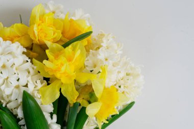 Sümbül ve nergisler