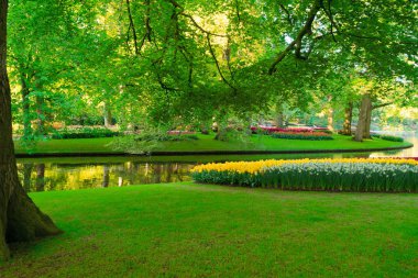 Parktaki bahar göleti