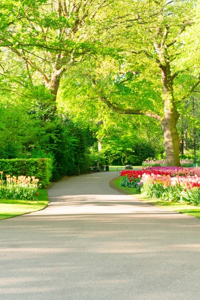 Jardim de primavera formal — Fotografia de Stock