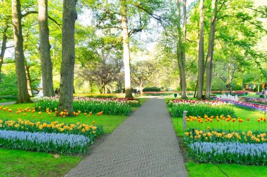 Resmi bahar bahçesi