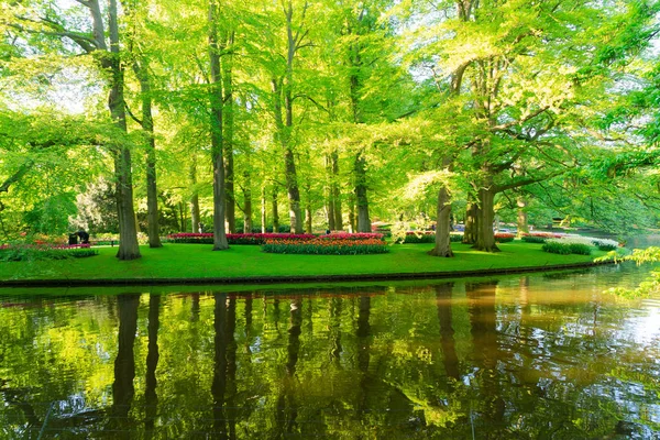 Estanque de primavera en el parque — Foto de Stock